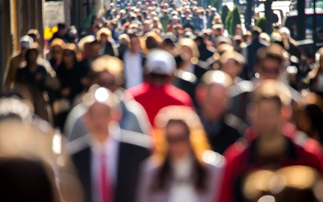 Découvrez les offres d’emploi de nos partenaires